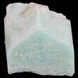 Amazonite Crystal with Smoky Quartz - Colorado #61368-1